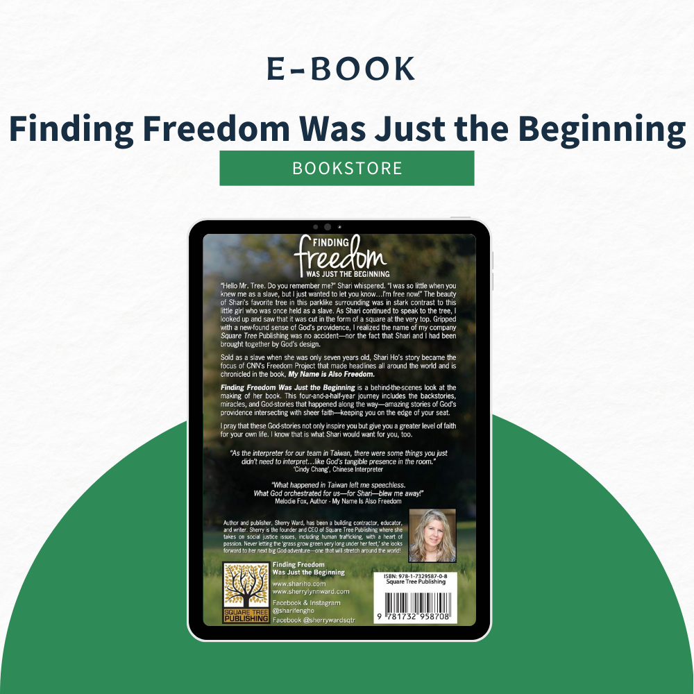eBook - Finding Freedom Was Just the Beginning: God&#39;s Hand In The Journey
