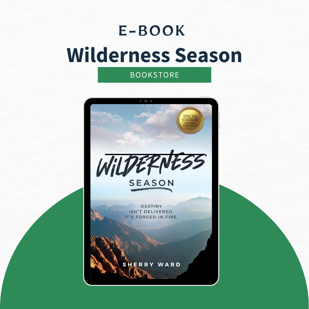eBook - Wilderness Season: Destiny isn&#39;t Delivered. It&#39;s Forged in Fire.